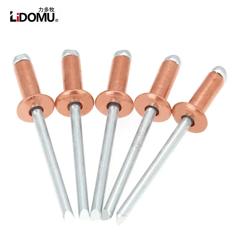 30/50pcs  Copper Blind Rivet, Dome Head Open Type Bronze Copper Steel Rivets, Anticorrosive