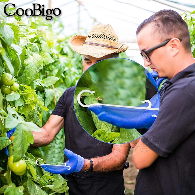 100Db J Alakú Horgok Markolat Paradicsom Zöldség Gyümölcsök Cseresznye Szőlő Üzem - Image 6