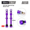 53MM-Purple