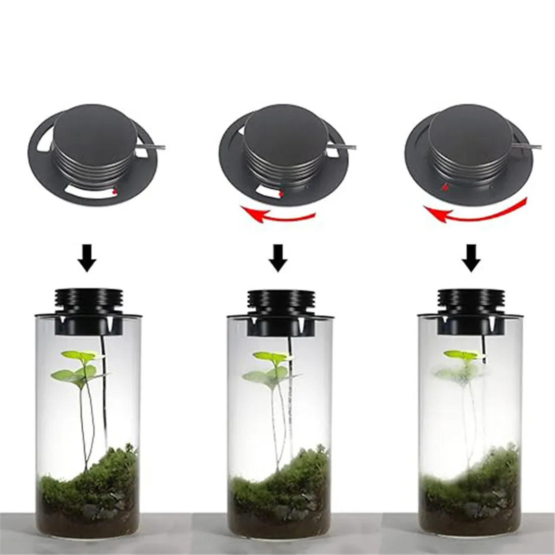 Led grow light grow light Dimmable USB Terrarium Plant Growing Lamp with Timer Vases Indoor Plant Growth Succulent Miniature Gardening Landscape
