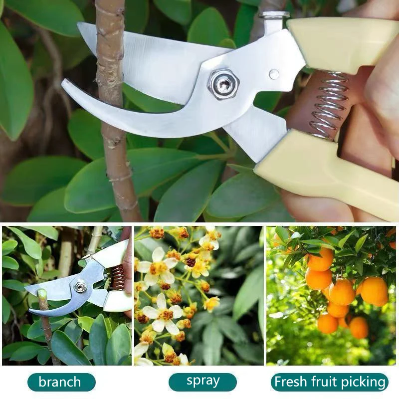 Horticultural Scissors Bird Beak Shape Branch Pruning Labor Saving Pruning Stainless Steel Picking Multifunctional Fruit Scissor