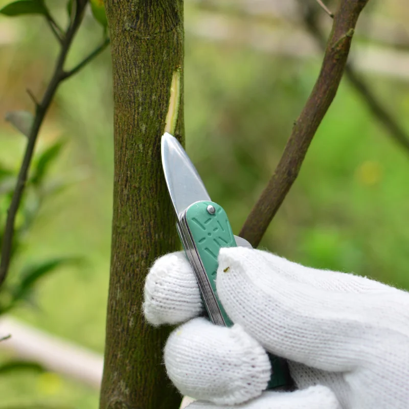 https://ae01.alicdn.com/kf/S5c1da6822a654eef9ab25d169d9dc169J/Grafting-Folding-Knife-Garden-Seedling-foldable-Cutter-Branch-Cutting-Pruning-Tool-Tree-Budding-Blade-Nursery-Bark.jpg