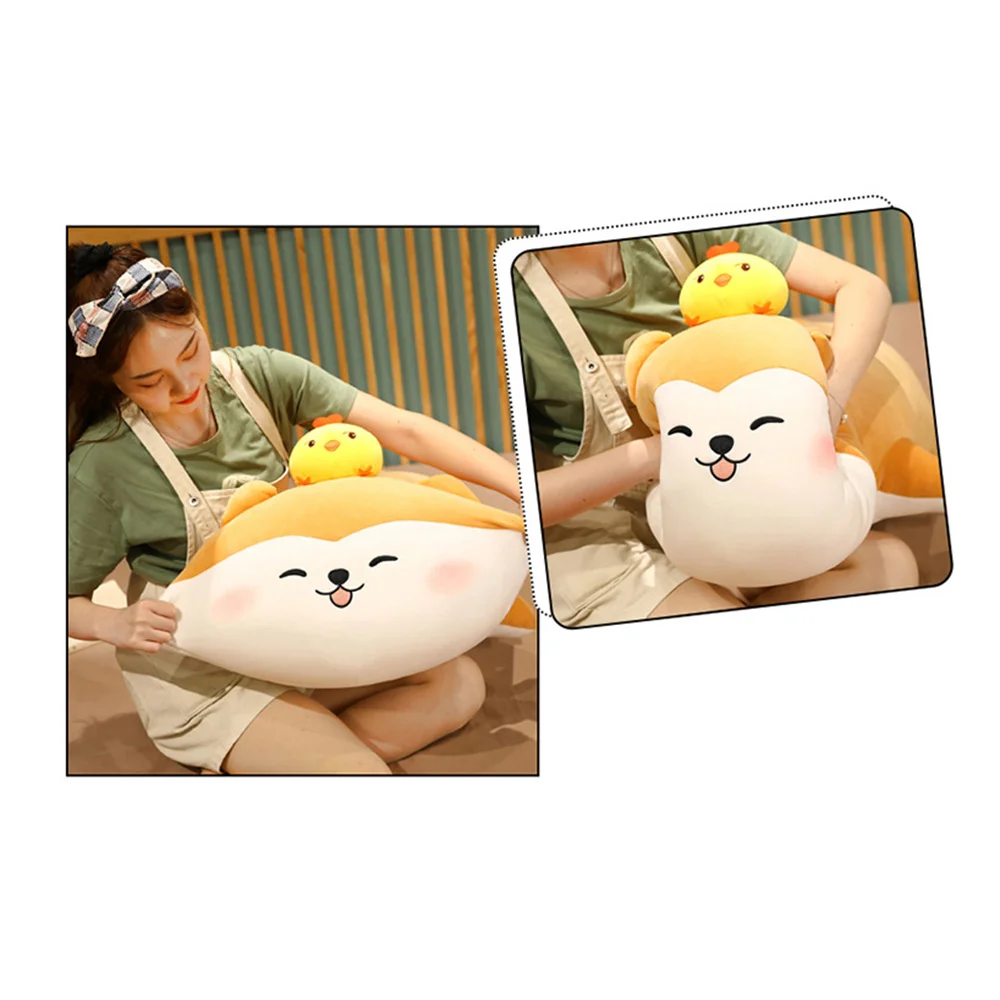      ε巯  峭     20cm    峭 Pacify ɷ 峭 BM88