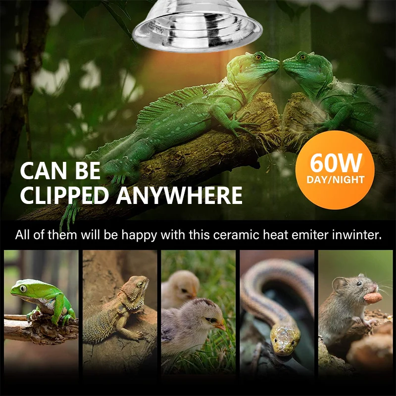 E27 Reptile Heating Lampshade Ceramic Heat Lamp Bulb Lighting Set Turtle Lizard Snake Reptiles Terrarium Lighting 25W/100W/200W