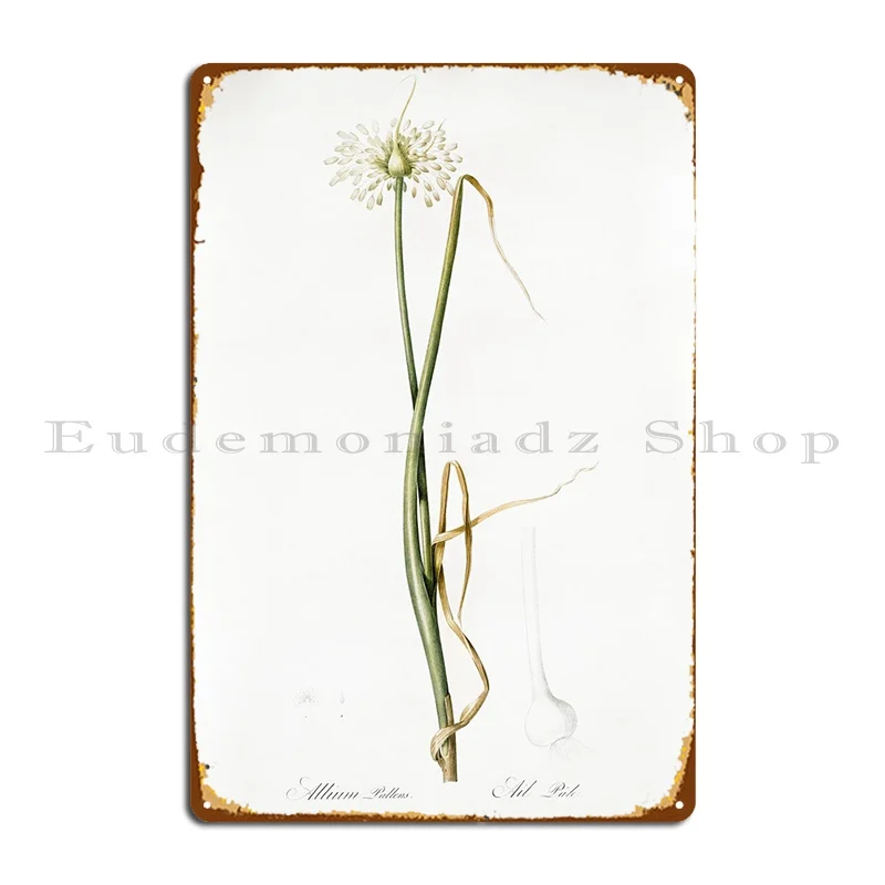 

Wild Onion Illustration Fr Metal Plaque Poster Retro Garage Club Bar Personalized Wall Decor Tin Sign Poster