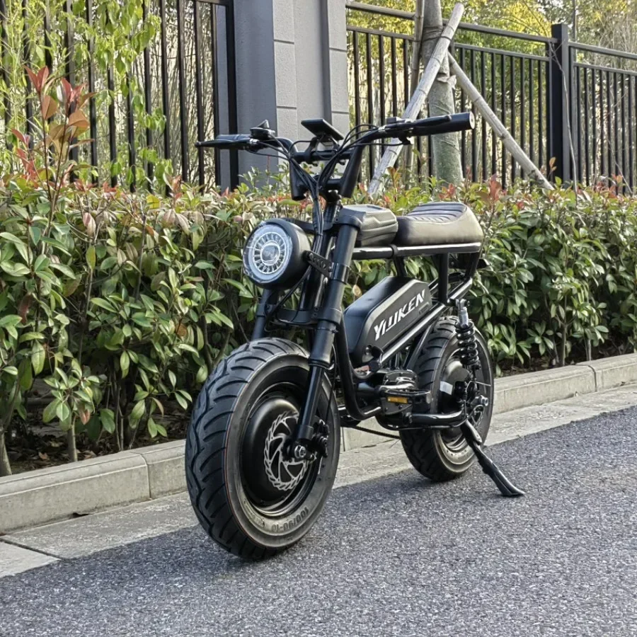 New Electric Off road Bicycle 1200W Super Motor 20Ah Ultra Long Range 20 inch Fat Tire Electric Off road Bicycle