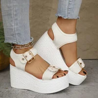Thick Bottom Women's Wedge Heel Sandals Summer 2025 Buckle Strap Chunky Platform Sandals Woman Fashion Plus Size Beach Sandalias - Image 4