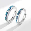 WYEAIIR Romantic Valentine's Day Gift 925 Sterling Silver Blue Glazed Prince Fox Resizable Opening Ring For Lovers Jewelry 4