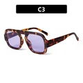 C3
