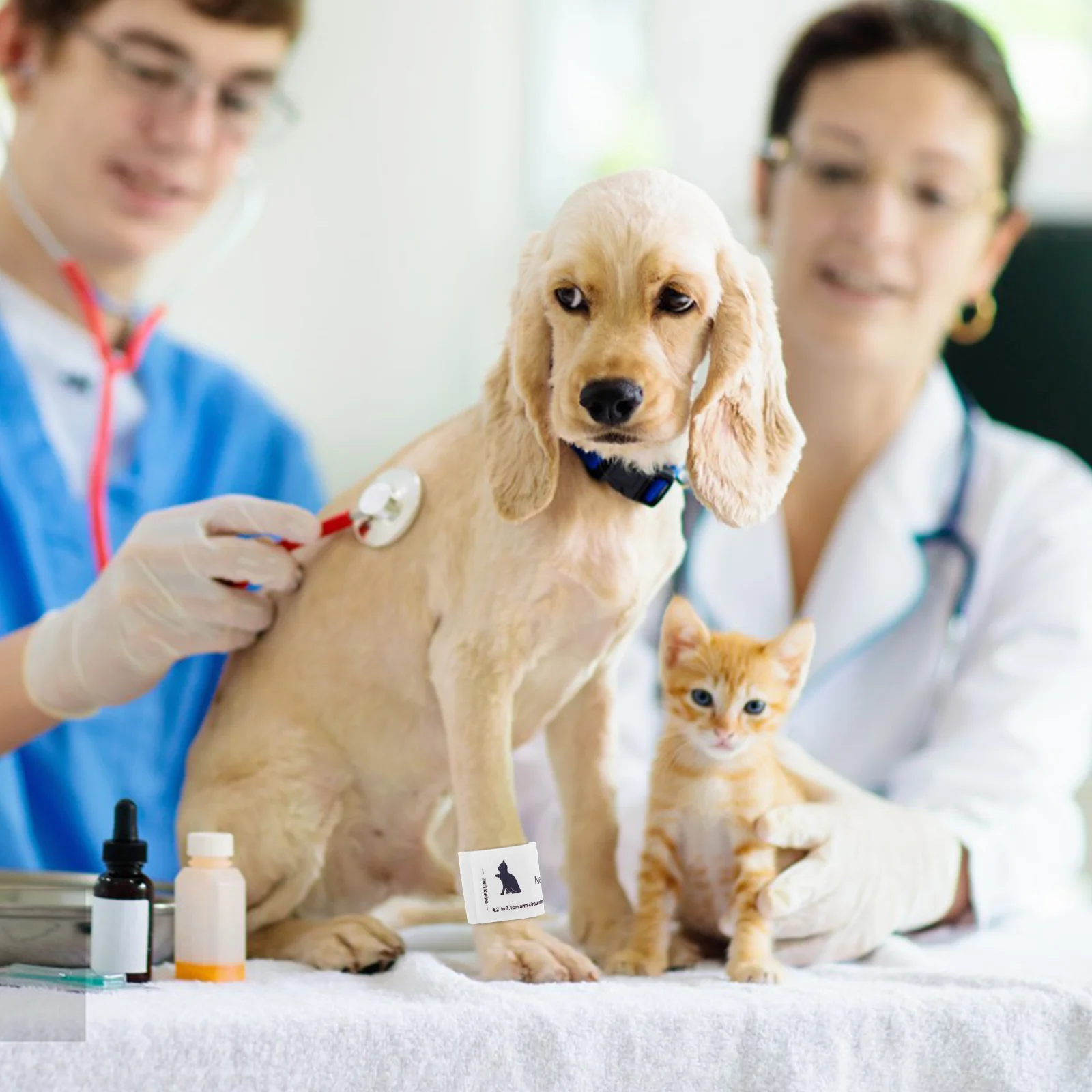Vet Animal Cuff Bp for Pet Veterinary Supplies Dog Monitor Armband