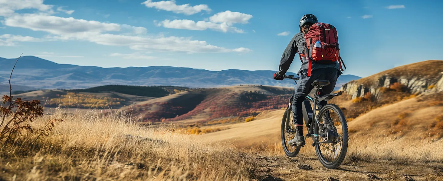 ebikes for adults