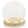 Glowing Wooden Base Eternal Flower Glass Dome Display Case Transparent Dustproof Cover Home Decor Vases Fine Workmanship 1