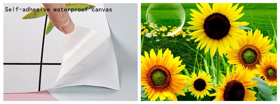 de Parede, Ginásio, Fitness, Boxe, Bar