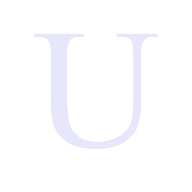 Image 28