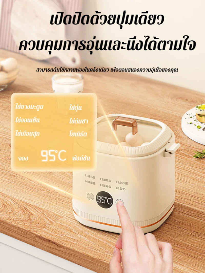 Portable household small mini portable egg boiler multifunctional dormitory steamed egg cooker automatic power off cooker