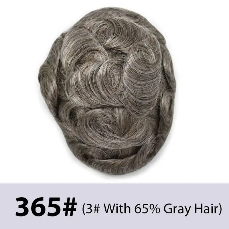 365H