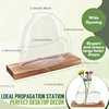 Nordic Style Glass Vase With Wooden Stand Transparent Heart Shape Flower Arrangement Vase Hydroponic Plants Container Home Decor 2