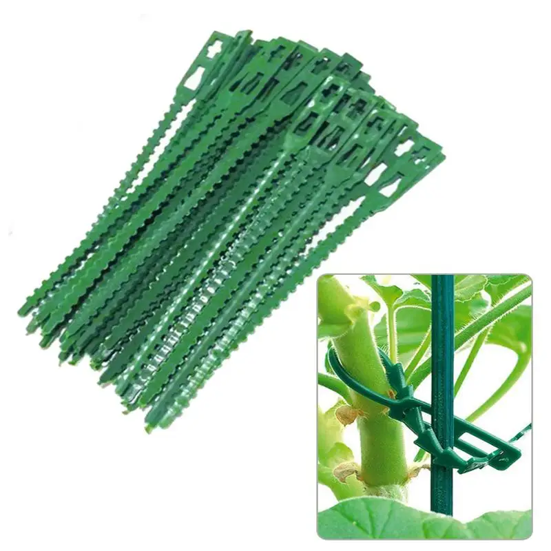 Plastic Plant Tie 13-34cm Adjustable and Reusable 10-50pcs For Climbing Garden Trees Supporting Grape and Tomato Stem Clips