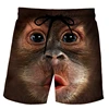 Funny Duck Graphic Beach Shorts for Men 3D Print Animal Board Shorts Sports Gym Swim Trunks Swimsuit homme Cool Ice Shorts Pants 3
