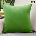 Grass Green