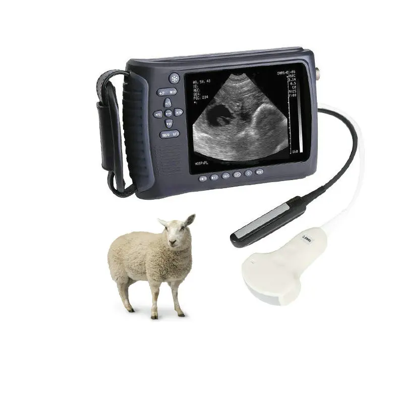 

Cheap handheld pet vet portable equine cow sheep cattle horse large animals portable ultrasound machine for veterinary use