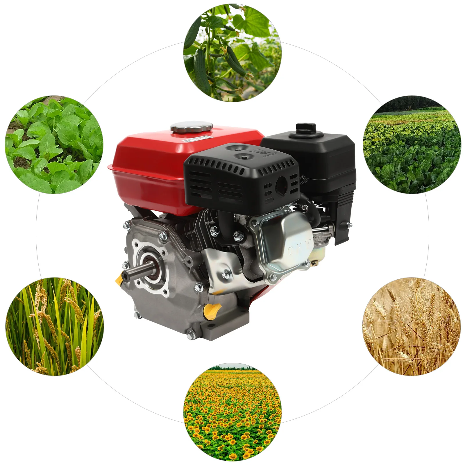 Moteur à Essence 4 Temps 7,5 CV 212 CC - Moteur Sur Pied - Moteur