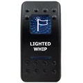 LIGHTED WHIP