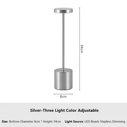 Sleek USB Rechargeable LED Touch Table Lamp - Adjustable Color Night Light (Silver)