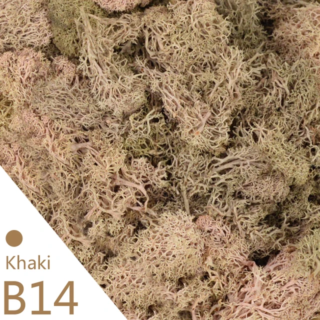 B14