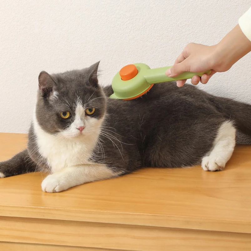 Title 3, Cat comb to remove floating hair and comb speci...