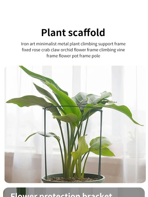 6pcs Tall Plant Support Stakes Metal Half Round Garden Plant Cage 