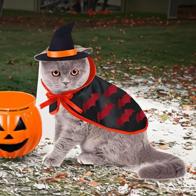 Zucca Vestiti Di Halloween Per Gatti Costume Da Suora Per Cani E