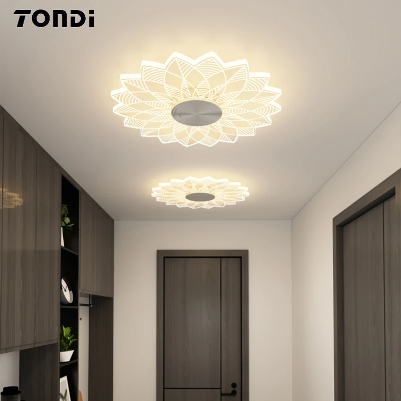 Modern Led Aisle Light Ceiling Lights Cloakroom Balcony Ceiling Lamp