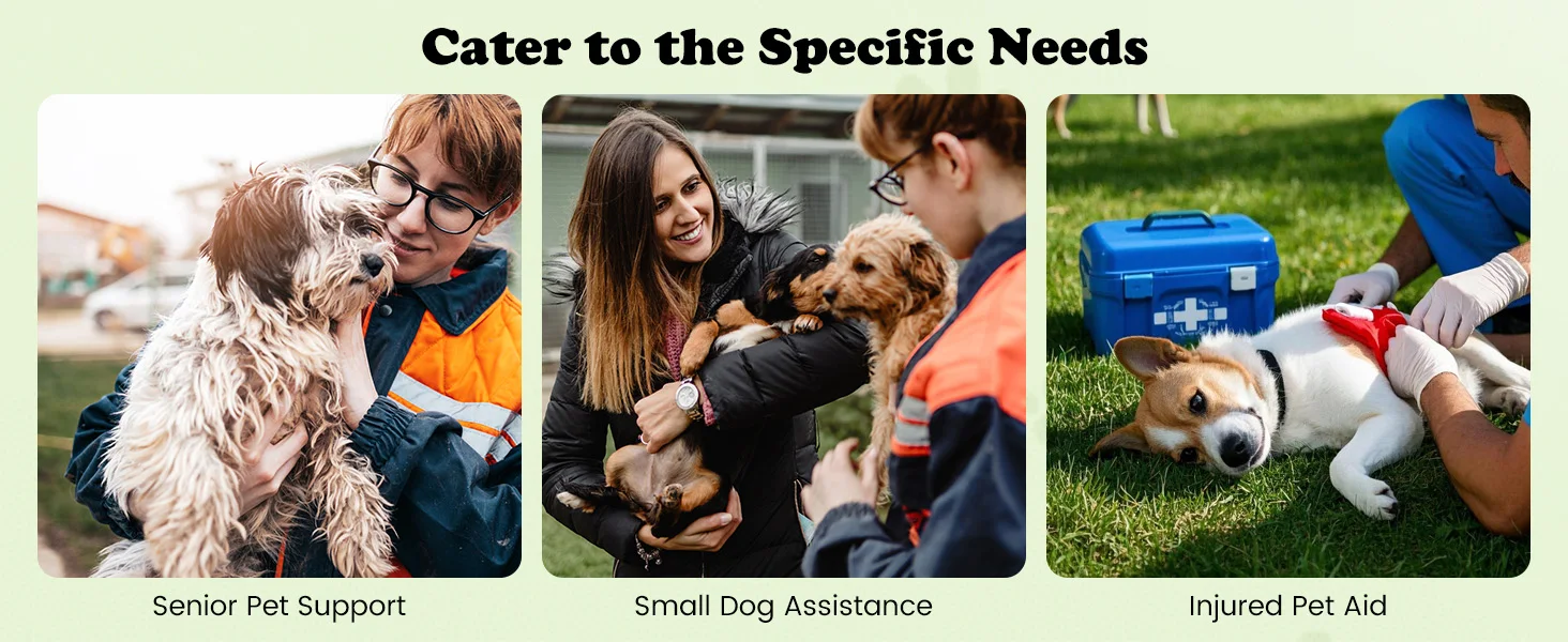 Specific Needs