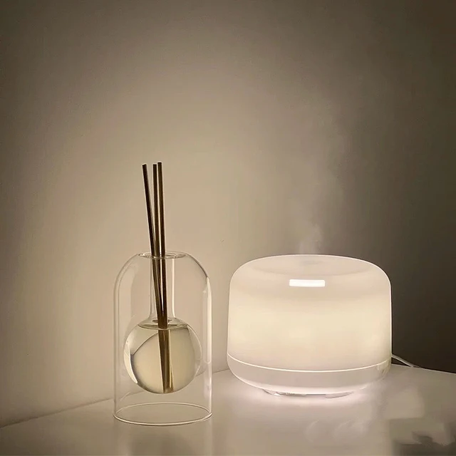 Aromatherapy Diffuser Bottle Glass Essential Oil with Diffusers Sticks Storage Containers Transaprent Modern Home Decorations 5