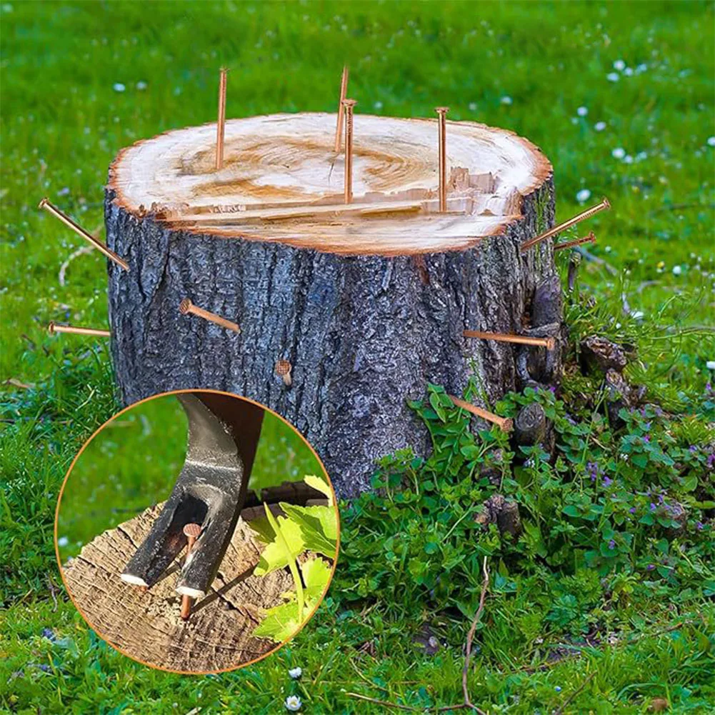 Effective Root Elimination Copper Tree Stump Killer Fast Acting Solution Large Sizes Available Non-Disturbing Method