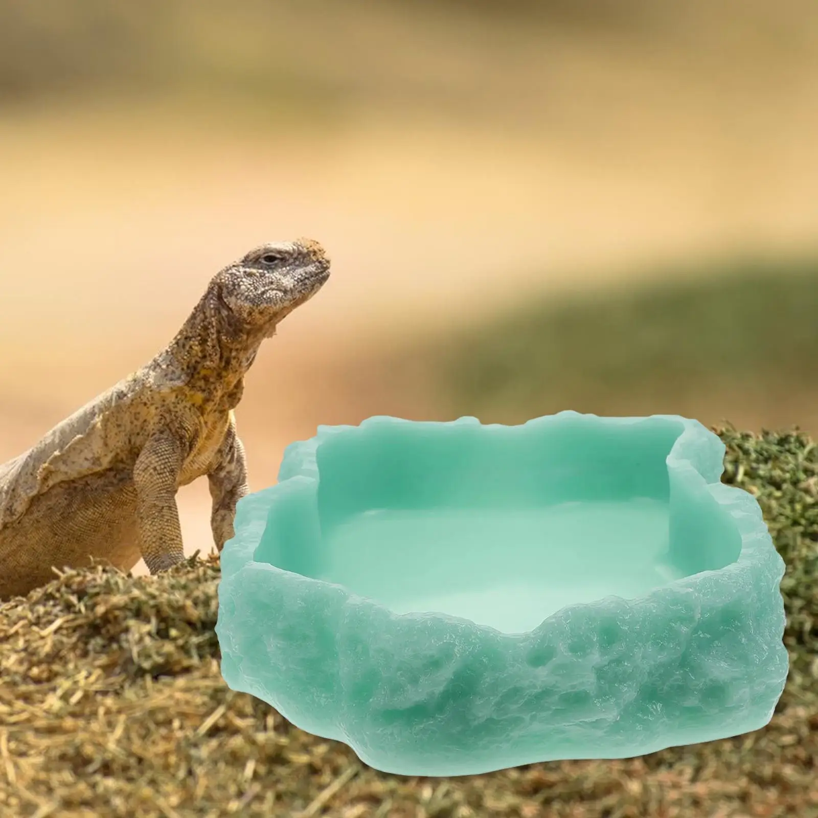 Reptile Food Bowls Ceramic Square Reptile Water Food Dish, Pet Food Bowl For Lizards, Young Bearded Dragons, Small Snakes, Gecko Tortoise Spider (White, Small 2-Pack