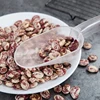 Plastic Large Ice Scoop Scale Hopper Home Kitchen Flour Food Candy Sugar Scraper Scoops Bar Garden Tools 5