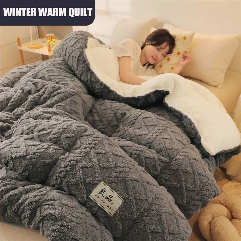 Winter Plush Quilt Core Duvet Thickened Warm Double Faced Cashmere Quilt  For Student Dormitory Single Double Bedding