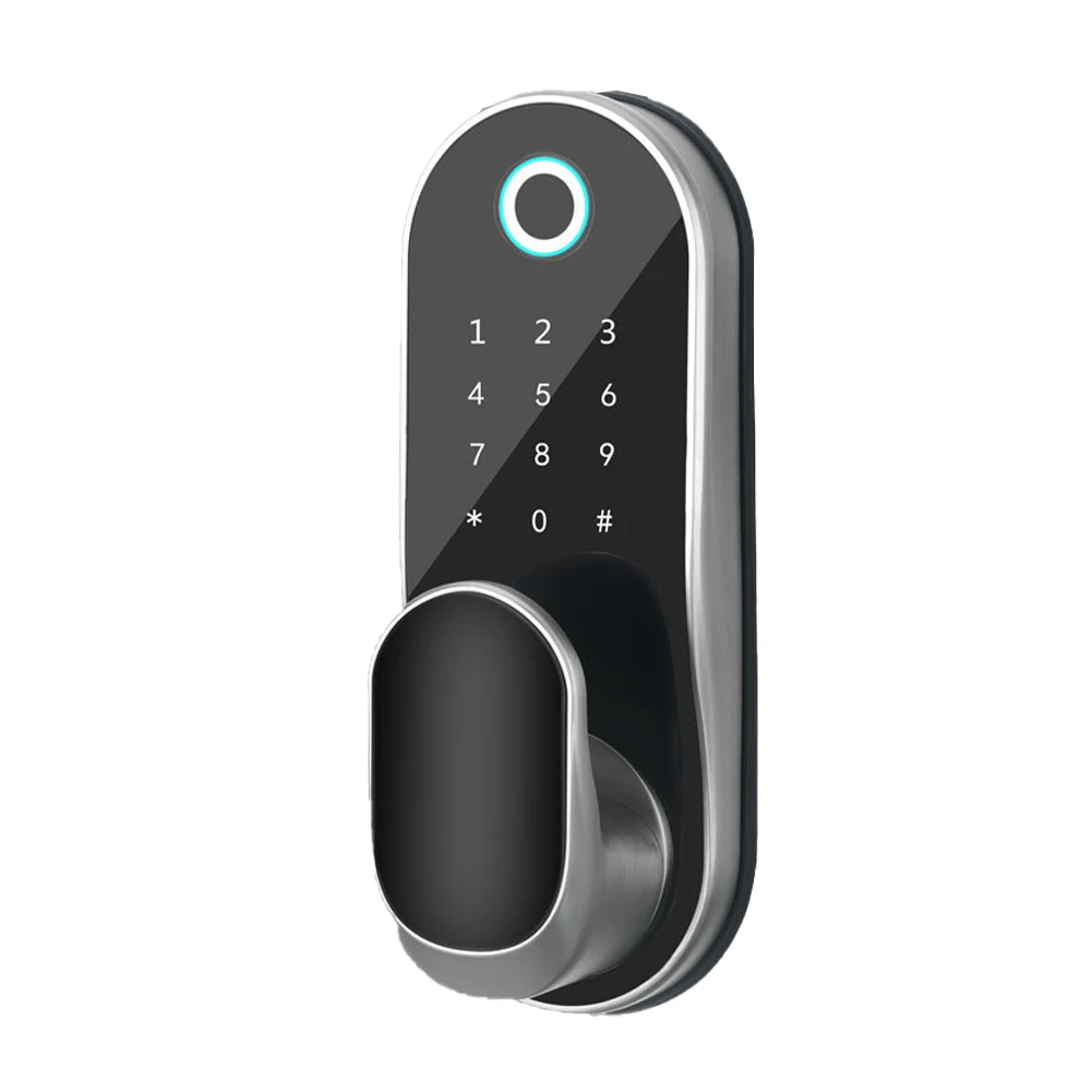 

Advanced Electronic Door Knob with Keypad Convenient Magnetic Card Unlocking (Semiconductor Fingerprint Recognition)