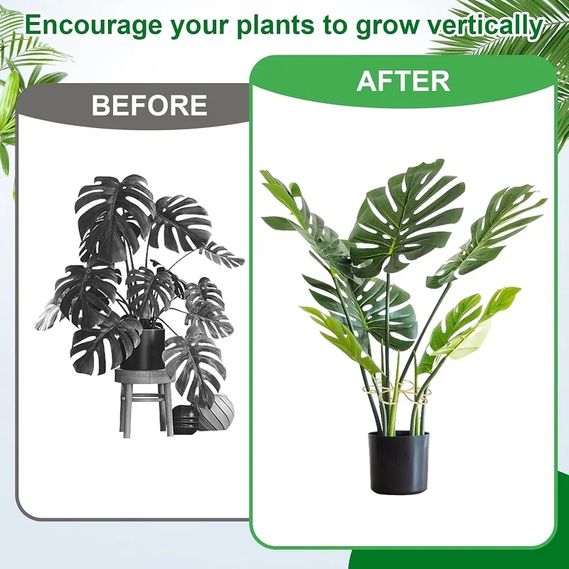 4/6/8Pcs Metal Plant Stem Support Durable Hook Stem Supports for Indoor Growing Climbing Alocasia Monstera Vine Healthy Growth
