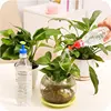 5PCS Portable Bottle Cap Sprinkler Garden Plant Watering Spout Sprayers Gardening Nozzles Waterers Seedling Irrigation Tools 4