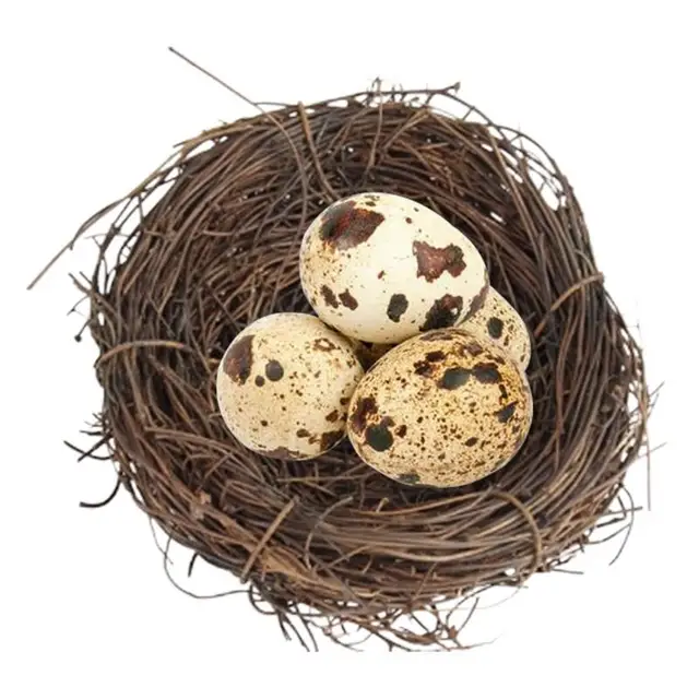 Woven Bird Nest artificial Bird Hatch House Cage Bird Breeding & Spawning Nest Cozy Bed House For Pigeon Parrot Rabbits Hamster - Image 5