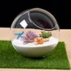 1pc Micro Landscape Glass Bottles Creativity Dew Collection Glass Vase Succulent Plant Terrarium Container Flower Pot Home Decor 1
