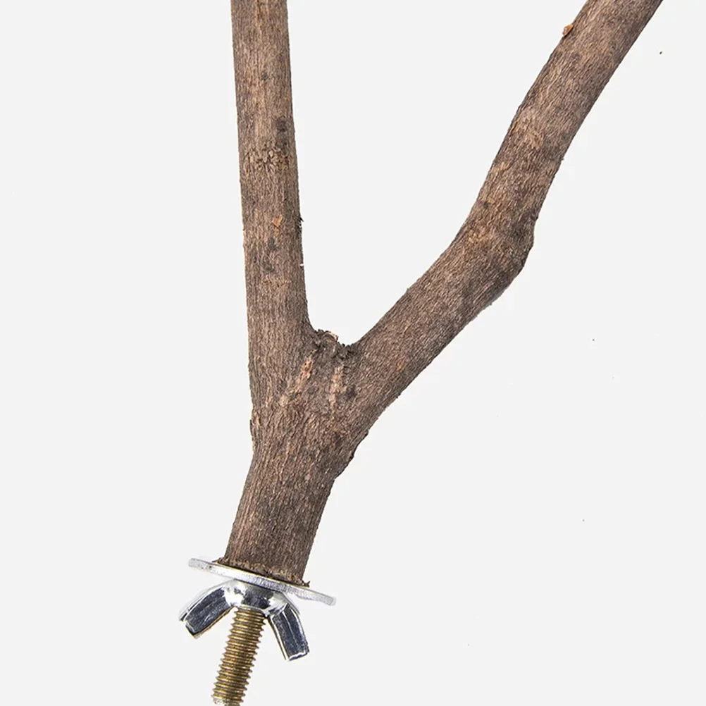 Bird cage screw perch stand holder screws fixing birdcage parrot hamster branches nuts platform hanger furniture bolts supplies bird cage accessories bird perch stand