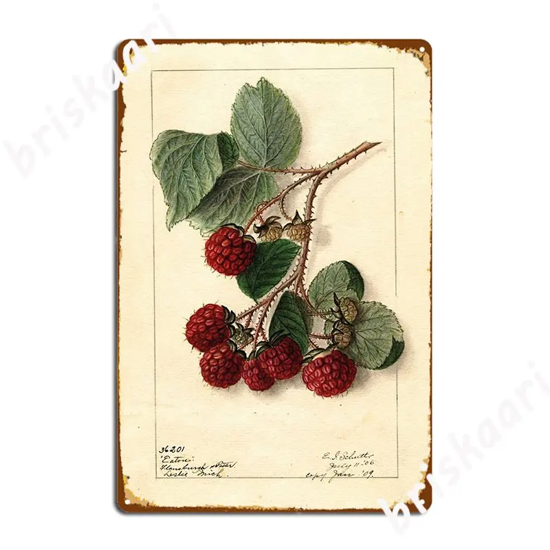 

Красивые винтажные ботанические принты малины металлический налет кинотеатр кухня кинотеатр индивидуальный Декор жестяные плакаты