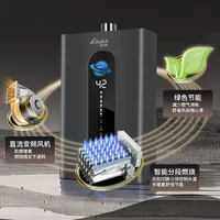 Chauffe-eau à gaz 12L 16L à eau froide, double pression, à évacuation forcée, température constante, pour usage domestique (GN/GPL) 3