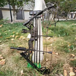 Professional Beginner Compound Bow High Precision Small Compound Bow Shooting Sports Suit Outdoor Recurve Sports Alloy Bow