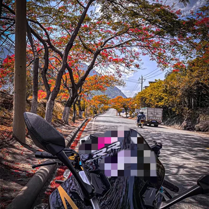   ƼĿ  äο  ݻ  Į, BMW S1000RR  ׼, 2 