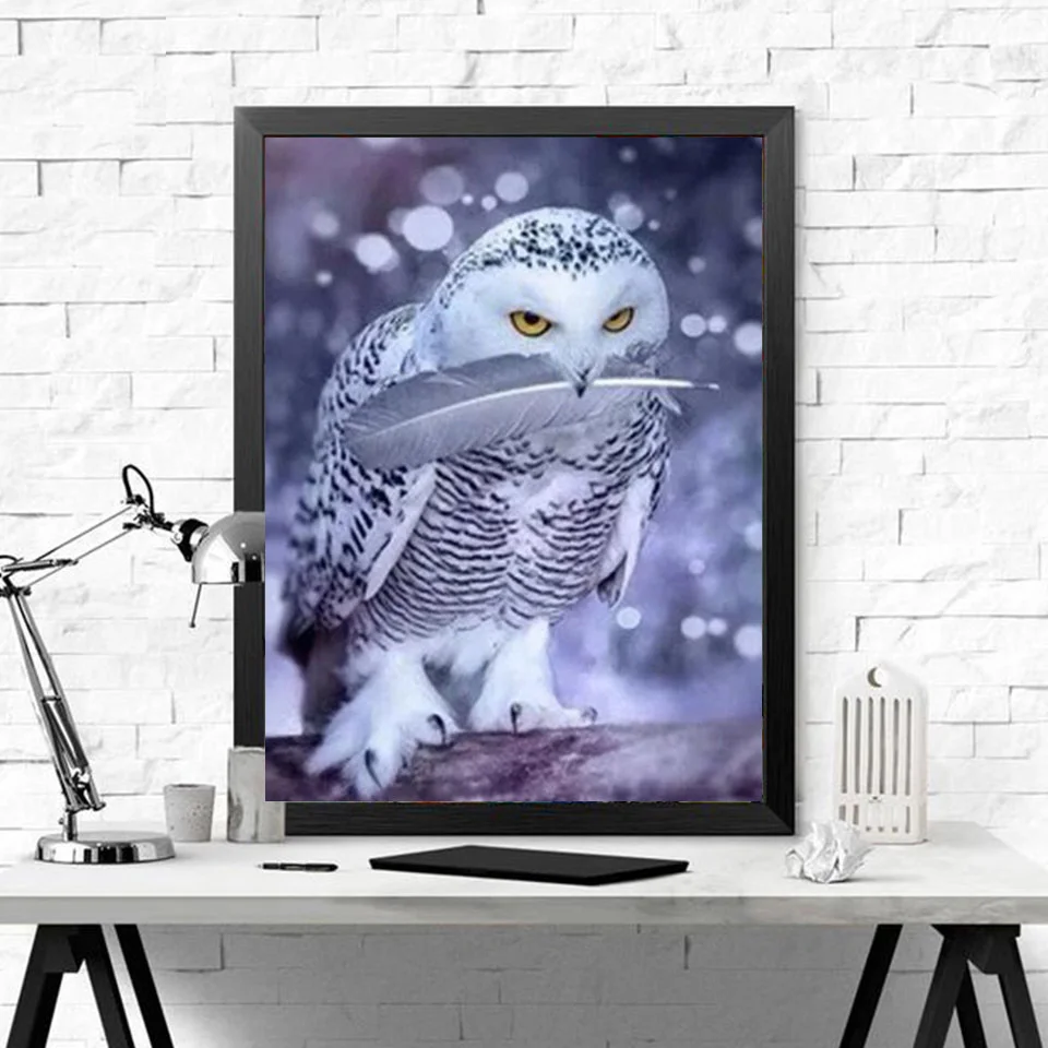 c5.jpg_.webp c5.jpg_.webp